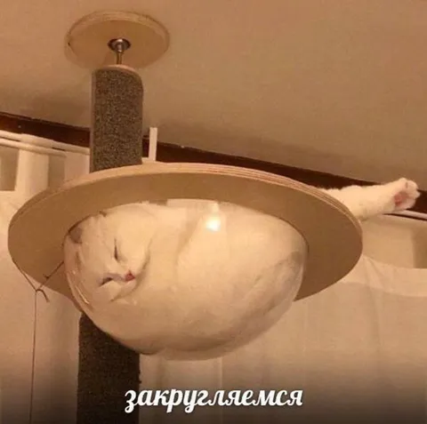 Кот закругляется на сегодня
