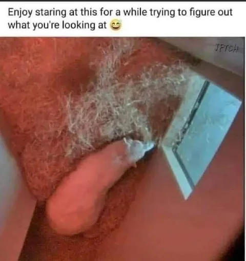 What Am I Looking At?