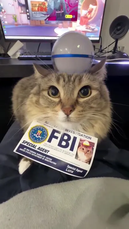FBI Cat Special Agent