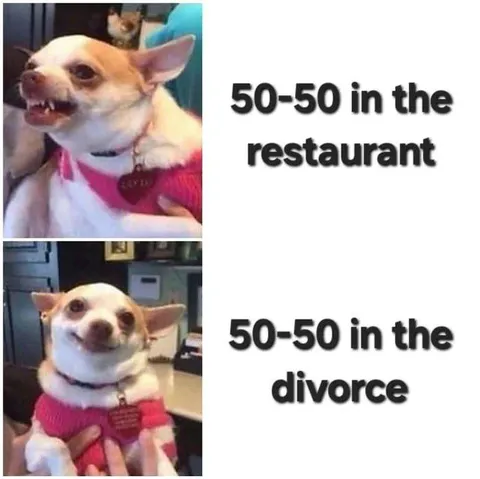 50-50 in the Divorce