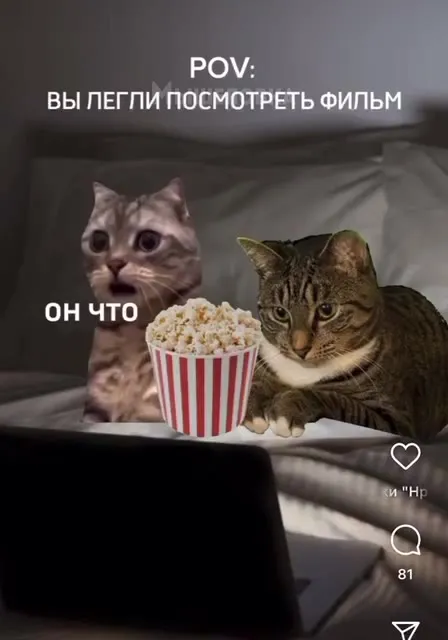 Легли посмотреть фильм