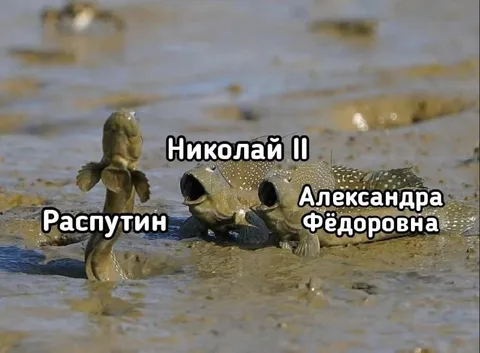 Царская семья на болоте
