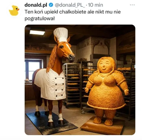 Koń upiekł chałkobietę