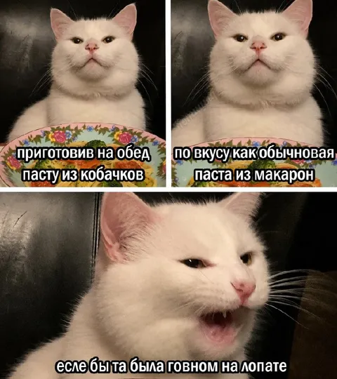 Паста из кабачков как говно