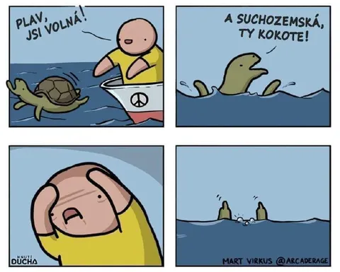 Želva a suchozemská želva