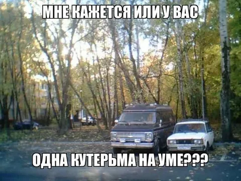 Одна кутерьма на уме