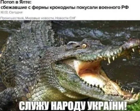 Крокодилы покусали военного РФ