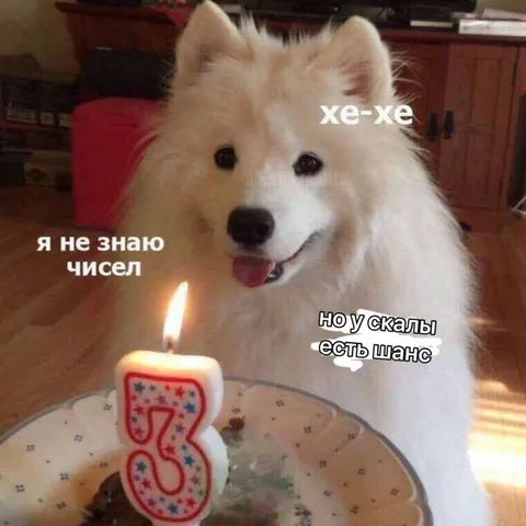 Самоед не знает чисел