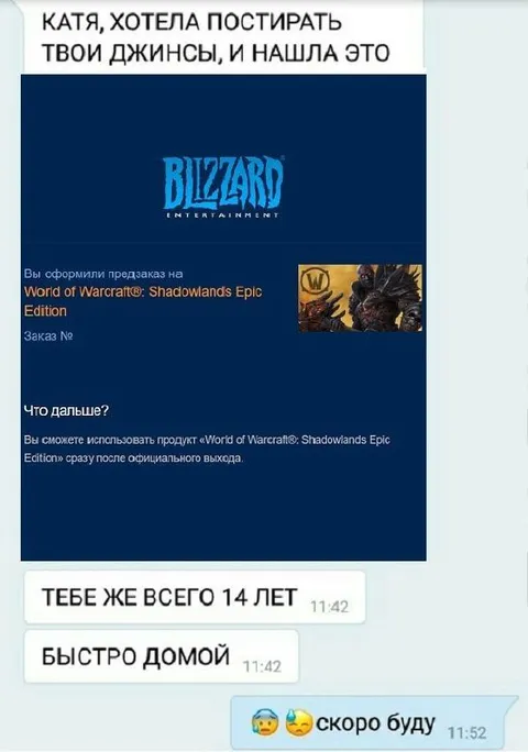 Катя нашла заказ Blizzard
