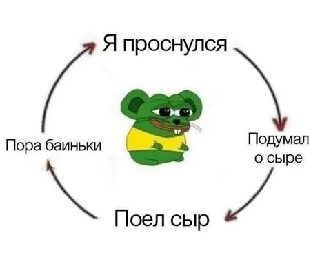 Цикл сыра и сна
