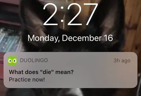 Duolingo Teaches You to Die