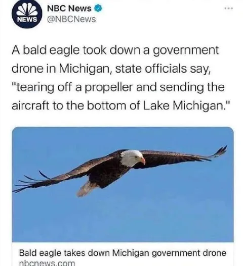 Bald Eagle Takes Down Drone