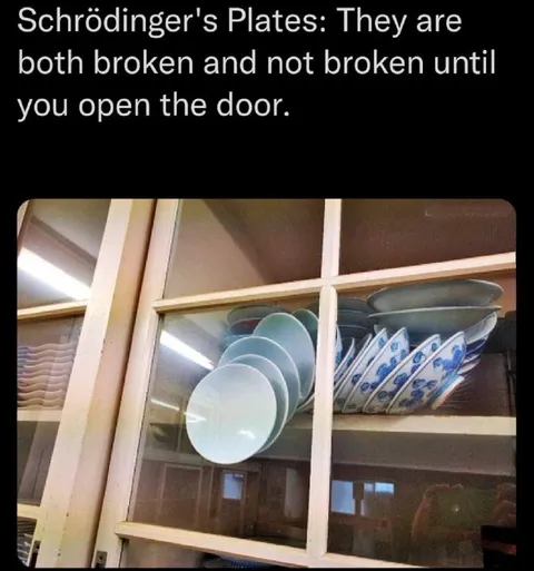 Schrödinger's Broken Plates