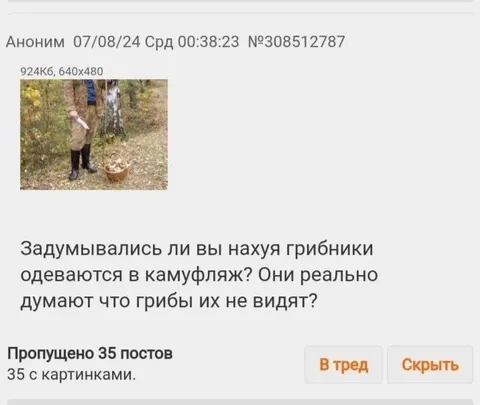 Грибники в камуфляже