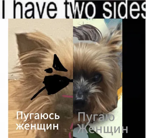 Пугаюсь женщин, пугаю женщин