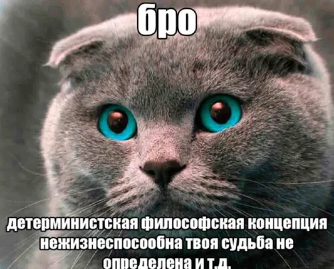 Бро, твоя судьба не определена