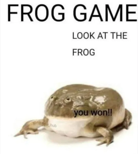 Frog Game You Won