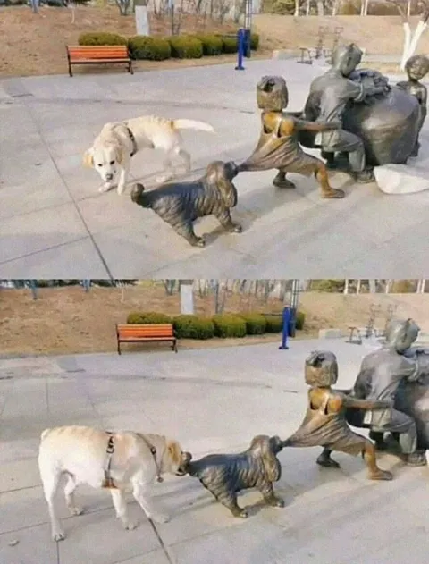 Собака знакомится со статуей