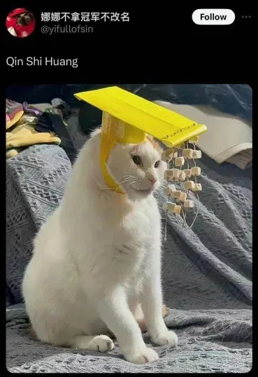 Qin Shi Huang Cat