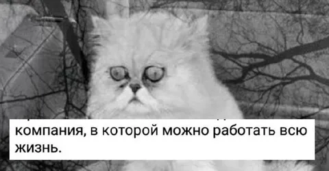 Компания на всю жизнь