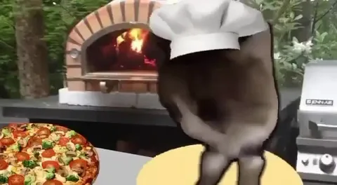 Кот-повар танцует с пиццей