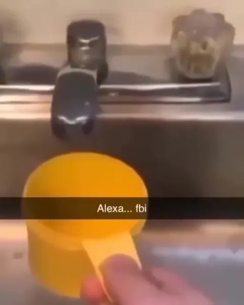 Alexa Calls the FBI