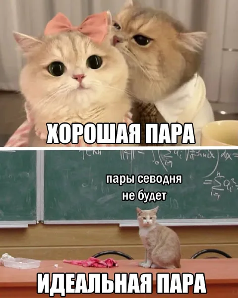 Хорошая пара не будет