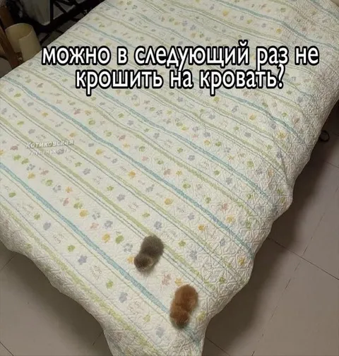 Крошки на кровати