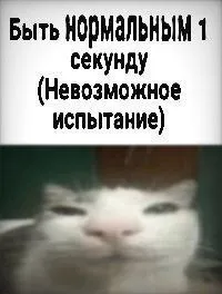 Быть нормальным 1 секунду