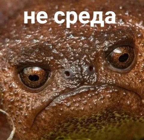Не среда, а ужас