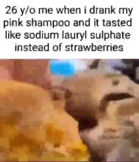 Hamster Tastes Shampoo