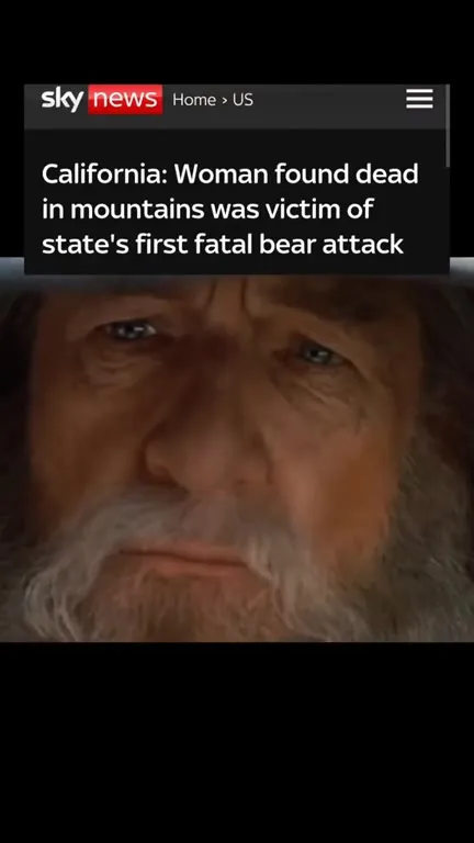 Bear Attack News Makes Them Laugh