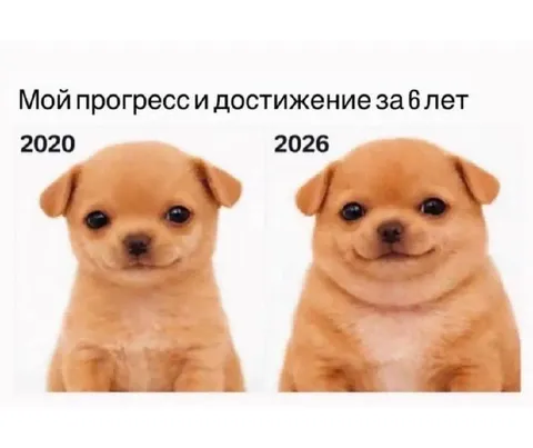Мой прогресс за шесть лет