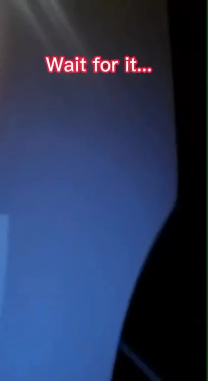 Wait for the Cat Reveal