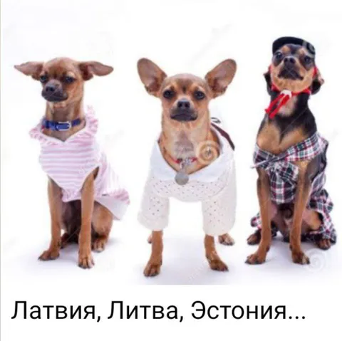 Латвия, Литва, Эстония