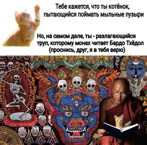 Котёнок и разлагающийся труп