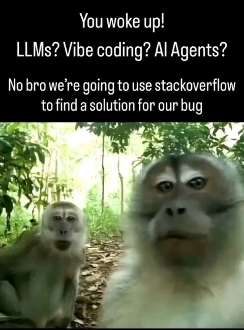 Stack Overflow Monkey Solution