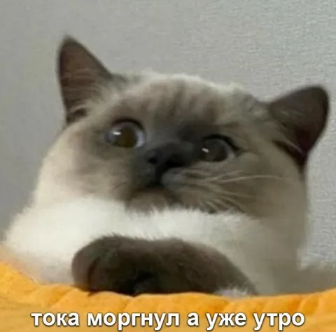 Только моргнул — уже утро