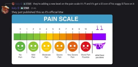 Pain scale level 11 dog