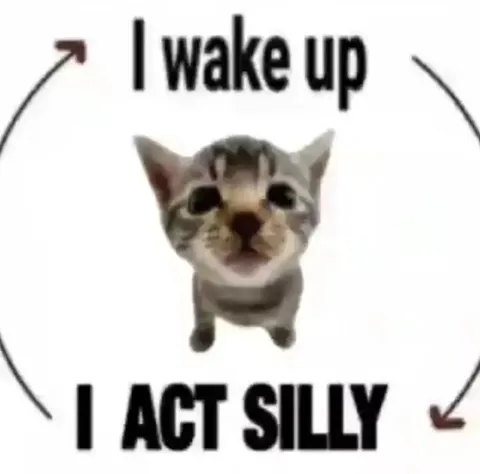 I Wake Up I Act Silly