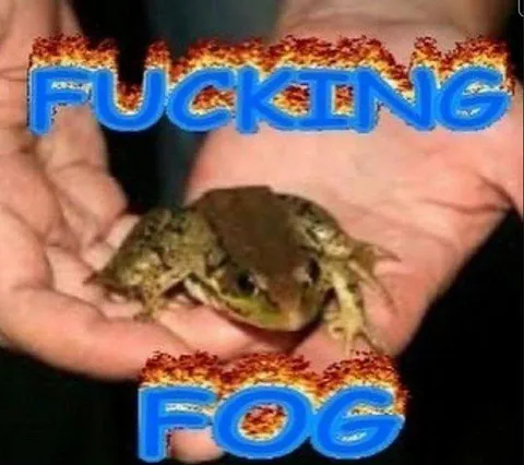 Fucking Fog Frog