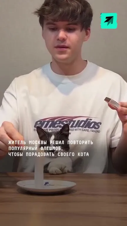 Кот и пожарный флешмоб