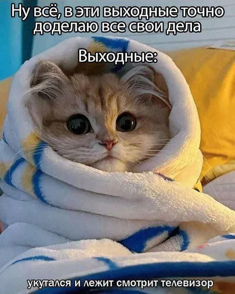 Выходные и все дела
