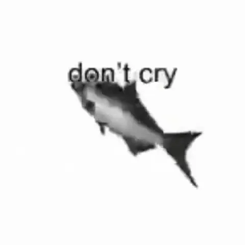 Don't Cry, I'm Just a Fish