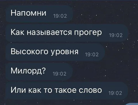 Как называется прогер высокого уровня