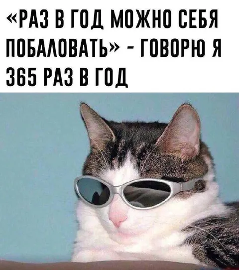 Кот в очках балует себя