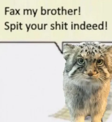 Fax My Brother Spit Your Shit