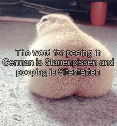 German Words for Peeing and Pooping