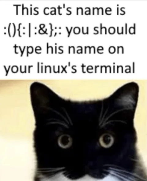 Linux Terminal Cat Name