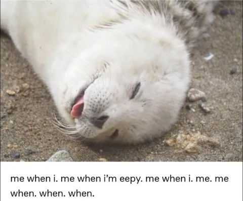 Me When I’m Eepy